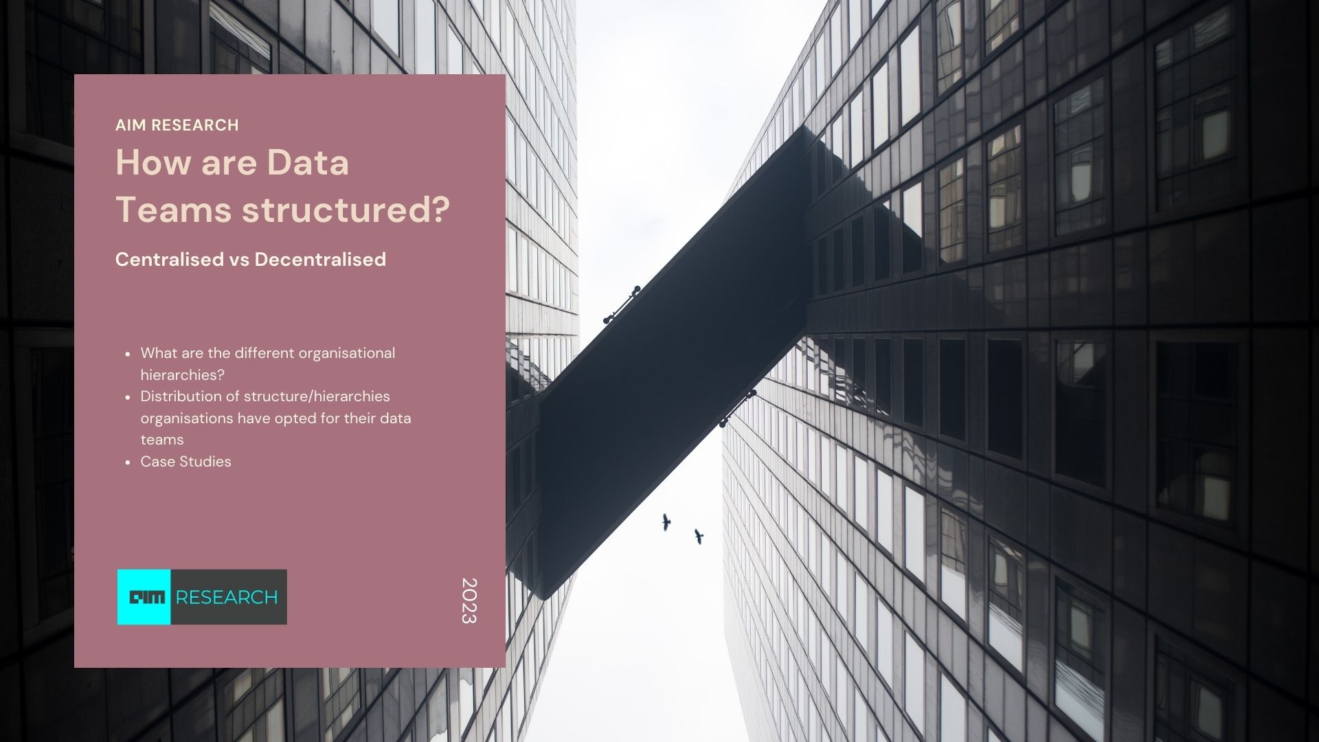 How are Data Teams structured?